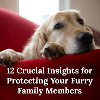 12 Crucial Insights for P…